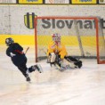 /album/trencin-vs-slovan-a-zapas-v-trencine/dsc-4911-jpg/